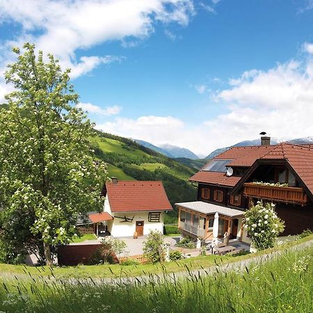 Sportbauernhof - Gasthaus Hochalmblick Айзентраттен Экстерьер фото